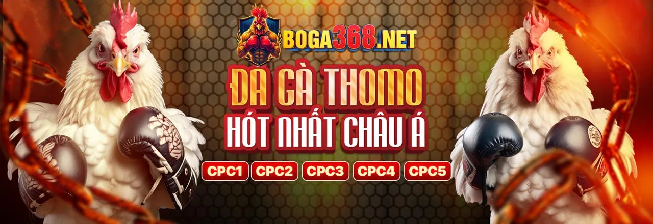 Tổng quan về các trận đá gà kịch tính tại F16878 Code